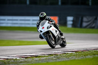 PJ-Motorsport-2019;anglesey;brands-hatch;cadwell-park;croft;donington-park;enduro-digital-images;event-digital-images;eventdigitalimages;mallory;no-limits;oulton-park;peter-wileman-photography;racing-digital-images;silverstone;snetterton;trackday-digital-images;trackday-photos;vmcc-banbury-run;welsh-2-day-enduro